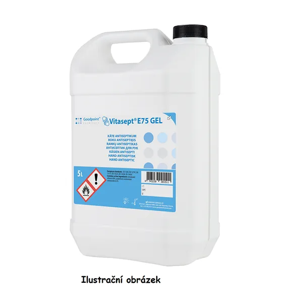 Vitasept  E75 gel 6I
