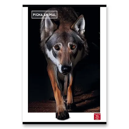Školní sešit - A4, linkovaný, 40 listů, Pigna Animal