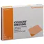 Iodosorb Dressing 6 x 8 cm (10g) bal=3ks