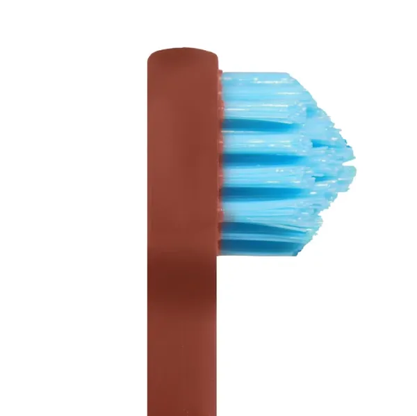 Zubní kartáček Splash Brush 170 hnědý