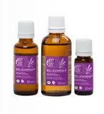 Tierra Verde Esenciální olej Levandule BIO (10 ml)