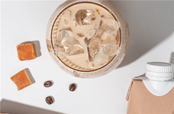 Vilgain Protein Iced Coffee karamelové latté 330ml