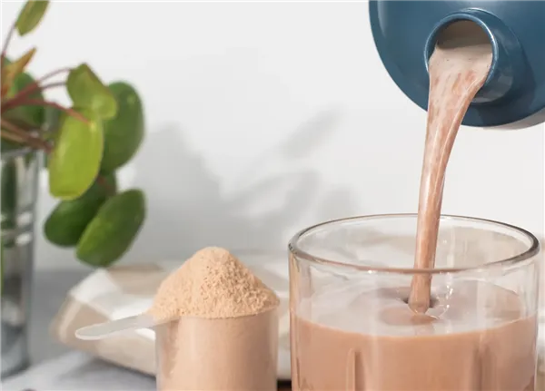 Vilgain Whey Protein Čokoláda 1 000g