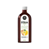 Leros Šťáva Zázvor & Citron 250ml