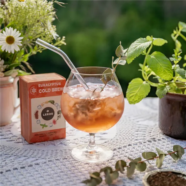Leros Eukalyptus Cold brew 20ks, nálevových sáčků