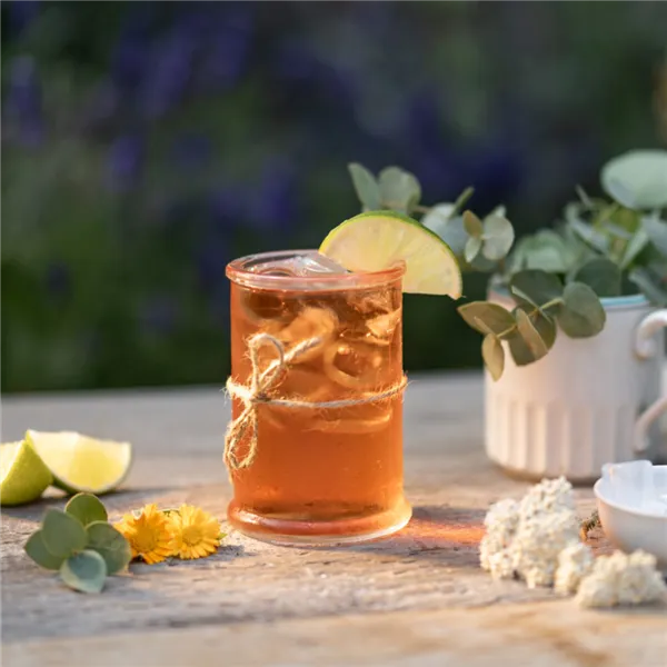 Leros Eukalyptus Cold brew 20ks, nálevových sáčků